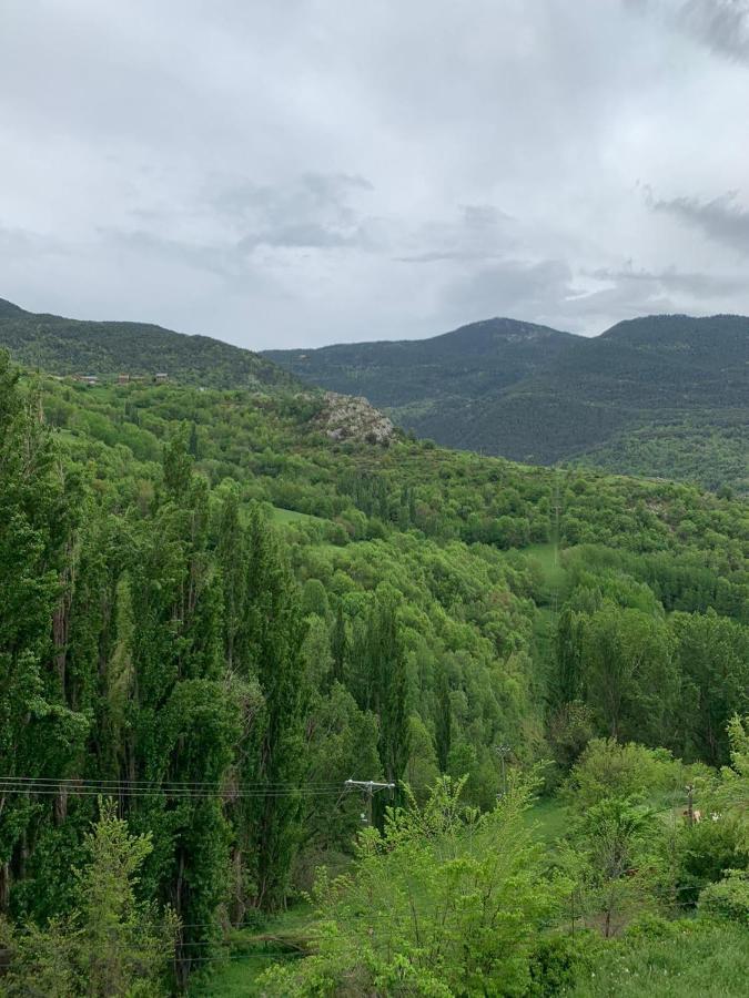 Apartamentsaloriaburg Farrera Buitenkant foto